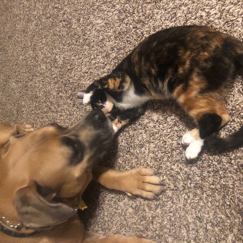 Meet your Posher, Stephanie